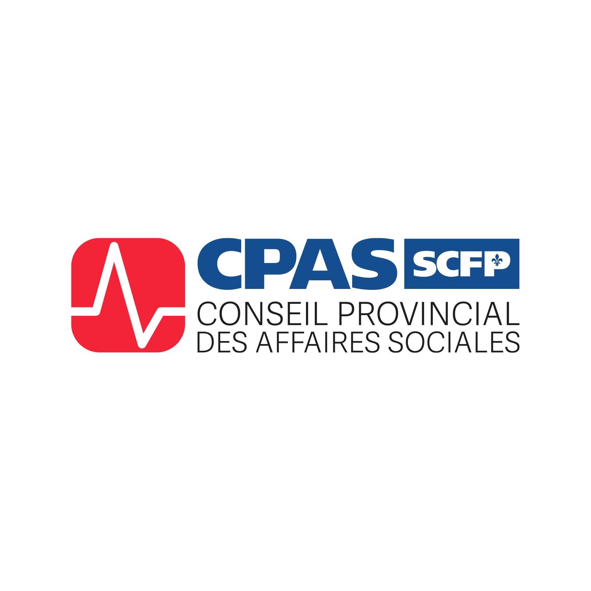 Accueil Conseil provincial des affaires sociales CPAS